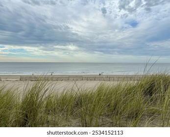 Serene view of a vast sandy beach bordered by tall grasses under a cloudy sky. Gentle waves roll in from the horizon, creating a peaceful, coastal landscape perfect for relaxation and nature. - Powered by Shutterstock