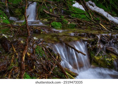 A serene waterfall cascades over green moss-covered rocks and fallen tree branches in a forest. The water flows gently, creating a peaceful and natural scene. Snow patches are visible in the backgroun - Powered by Shutterstock