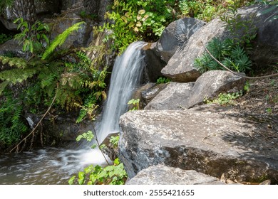 A serene waterfall cascades over mossy rocks into a calm pond, surrounded by lush greenery and vibrant plants. The natural beauty and tranquil ambiance create a picturesque, refreshing scene - Powered by Shutterstock