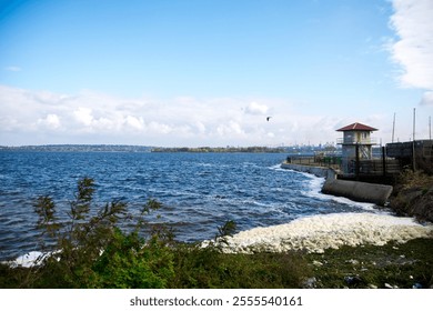 Serene waterscape featuring a shoreline with foam, a small building with a red roof, and distant trees and structures. The clear sky and bird add to the peaceful atmosphere - Powered by Shutterstock