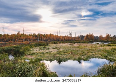 Serene wetland, reflective water, autumnal trees, cloudy sky, sunset, peaceful, marshland, grasses, reeds, outdoors. - Powered by Shutterstock