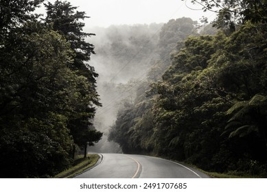 A serene, winding road cutting through a lush, mist-covered forest. The greenery is dense, with trees and bushes lining the road, and a light fog adding a mystical atmosphere. - Powered by Shutterstock