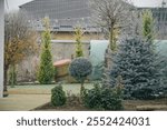 A serene winter garden featuring evergreen trees and decorative shrubs, showcasing a tranquil and frosty atmosphere.