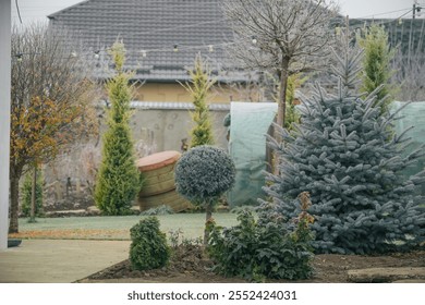 A serene winter garden featuring evergreen trees and decorative shrubs, showcasing a tranquil and frosty atmosphere. - Powered by Shutterstock