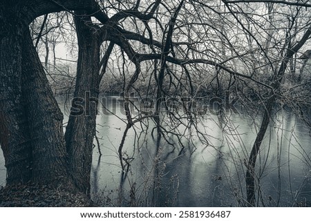 Similar – Image, Stock Photo bare tree reflected in blue lime lake, former limestone quarry