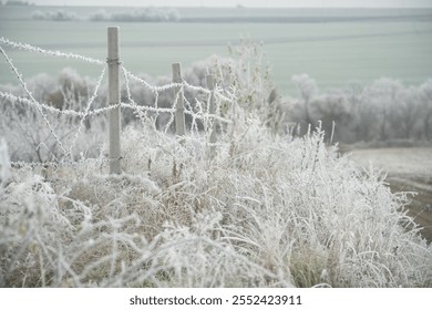 A serene winter landscape featuring a frost-covered barbed wire fence and frosty grass in muted tones. - Powered by Shutterstock