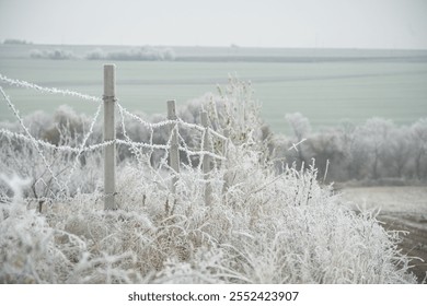 A serene winter landscape featuring frosted grass and a barbed-wire fence under a soft, overcast sky. - Powered by Shutterstock