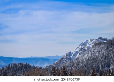 A serene winter landscape featuring a snow-covered mountain slope surrounded by dense pine forests. The clear blue sky and soft white clouds add depth and tranquility to the scene. - Powered by Shutterstock