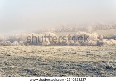 Similar – Image, Stock Photo An ethereal landscape showcasing a blur of golden wildflowers against a backdrop of serene trees under a soft, hazy sunrise