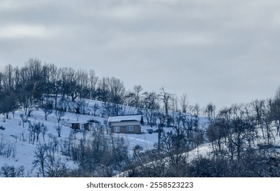 Serene Winter Landscape: Snow-Covered Hills, Isolated House, Bare Trees, Tranquil Countryside Scene with Overcast Skie, Capturing the Peaceful Essence of Winter in a Rural Setting Surrounded by Nature - Powered by Shutterstock