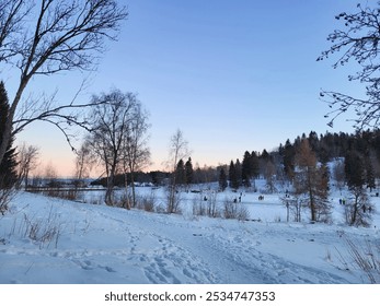 A serene winter landscape with a snowy field, bare trees and a frozen lake during sunset, with a beautiful blue and pink sky. quiet beauty of winter. - Powered by Shutterstock