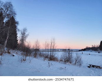 A serene winter landscape with a snowy field, bare trees and a frozen lake during sunset, with a beautiful blue and pink sky. quiet beauty of winter. - Powered by Shutterstock