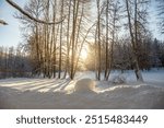 A serene winter landscape unfolds with a snow-covered path winding through a sun-dappled forest. The golden rays of the setting sun filter through the bare branches of the trees.