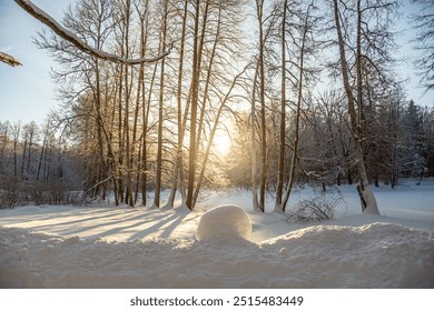 A serene winter landscape unfolds with a snow-covered path winding through a sun-dappled forest. The golden rays of the setting sun filter through the bare branches of the trees. - Powered by Shutterstock