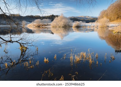 A serene winter morning at Loch Venacher with frosty trees and perfect reflections in the calm water, set against the scenic backdrop of the Trossachs in the Scottish Highlands, Scotland, uk. - Powered by Shutterstock