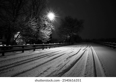 Serene winter night scene featuring snow-covered road and illuminated trees, captured in monochrome with soft glowing light - Powered by Shutterstock