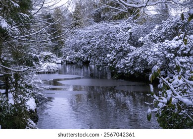 Serene winter scene capturing a frozen lake pond with frosted reeds and snow covered trees in Scotland - Powered by Shutterstock