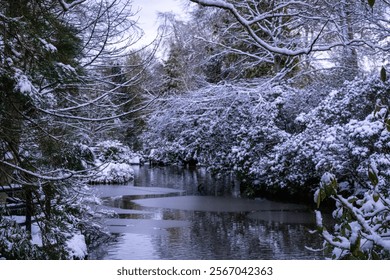 Serene winter scene capturing a frozen lake pond with frosted reeds and snow covered trees in Scotland - Powered by Shutterstock