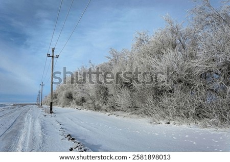 Similar – Image, Stock Photo wonderland Peaceful silent
