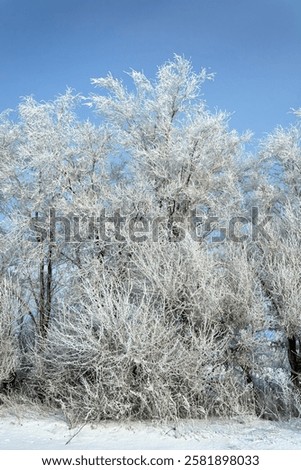 Similar – Image, Stock Photo wonderland Peaceful silent