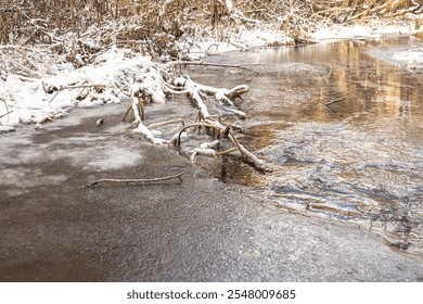 A serene winter scene with a partially frozen stream flowing over rocks and branches in a forest. The snow-covered banks and icy water create a peaceful and tranquil atmosphere. Coming winter - Powered by Shutterstock