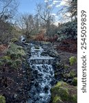 A serene winter scene of a small waterfall flowing through the Royal Botanic Garden Edinburgh, surrounded by frosty greenery and tranquil winter beauty