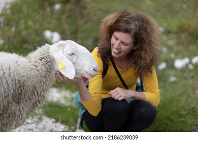 Serene Woman Hiker Stroking A Soft White Sheep In Julian Alps Slovenia Close Up