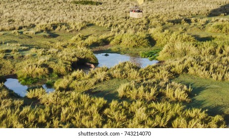 Serengeti Aerial From Hot Air Balloon