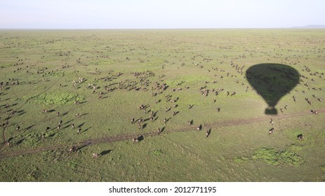 Serengeti Balloon Safari At Sunrise, Savannah Animals, Tanzania, Africa