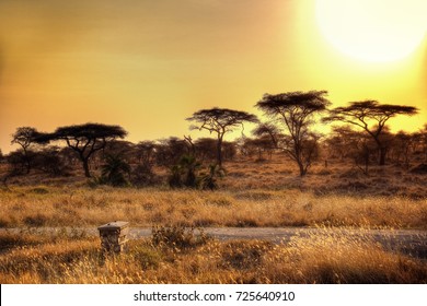 Serengeti National Park Sunset