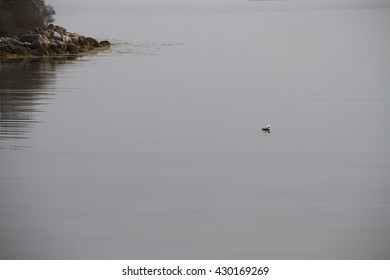 serenity