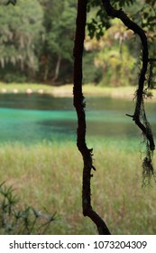 Serenity blue spring  