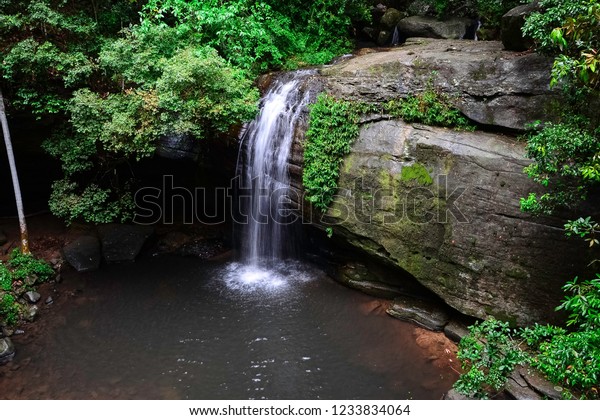 Serenity Falls Buderim Forest Park Australia Stock Photo Edit Now