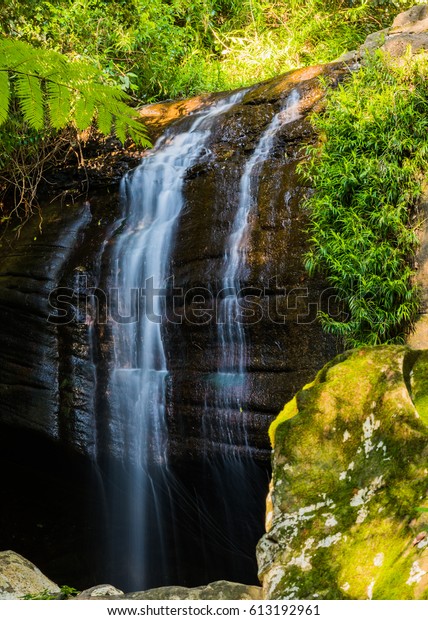 Serenity Falls Buderim Forest Park Stock Photo Edit Now 613192961