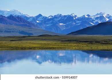 Serenity Lake In Tundra In Alaska