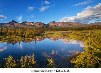 Serenity Lake In Tundra On Alaska