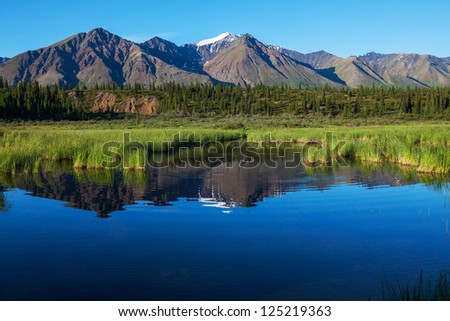 Serenity lake in tundra on Alaska