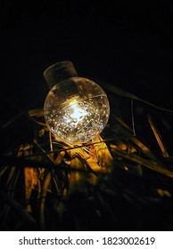 Serial Light Bulb In Dark