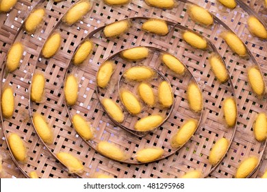 Sericulture On Wooden Basket, Silk Production Of Thailand