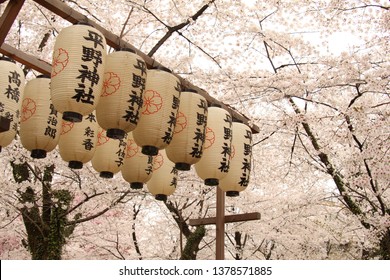 A series of lantern at the entrance of a japanese garden in Kyoto, Japan. Translation on the lanterns: Hirano Jinja. Jinja means temple. Full of cherry blossoms (Sakura) in spring season.