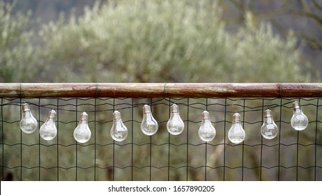 A Series Of Outdoor Lighting Bulbs With The Lights Off. Sensation In The Early Morning, Selective Attention To The Bulbs.