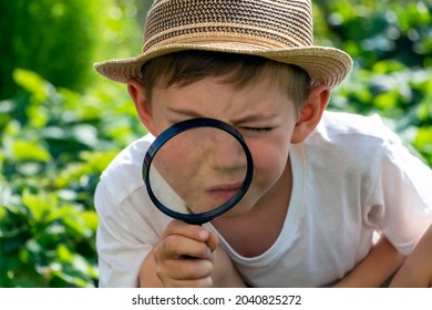Serious Adorable Little Child Boy In Straw Hat With Magnifying Glass Watching Or Looking For. Kid Conducts Investigation, Undergoes Quest. Little Detective. 
