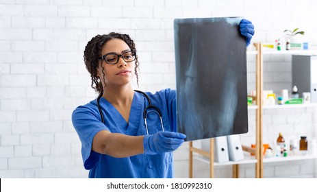 Serious Black Vet Doctor Studying Animal Xray At Medical Office, Panorama