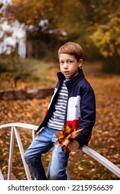 Serious Boy 6-7 Years Old Child Portrait In Autumn Park On A Sunny Day.