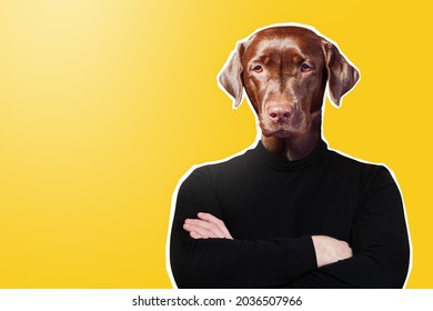 Perro serio con torso humano. Collage de stock 2036507966 Shutterstock