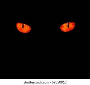 Serious, Evil Animal Eyes Stare At Something In Black,