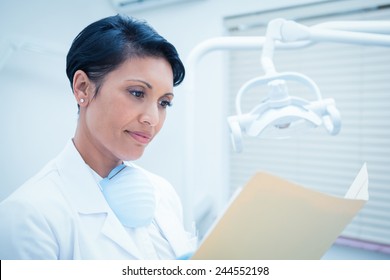 Serious Female Dentist Reading Reports