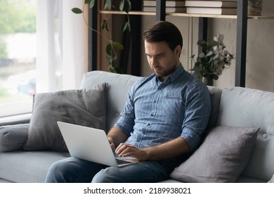 Serious Focused Man Sit On Couch At Home With Laptop, Working Online, Do Telecommute Job, Chatting In Social Media, Web Surfing Internet Search Information Spend Time Alone Use Modern Tech Concept