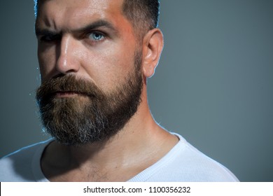 Bearded Man Portrait Masculinity Stylish Hipster Stock Photo Shutterstock