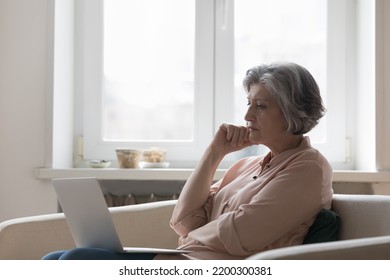 Serious Mature Grey Haired Woman Using Online App On Laptop At Home, Resting On Sofa, Holding Computer On Lap, Looking At Monitor, Reading, Watching Internet Content, Thinking, Feeling Concerned